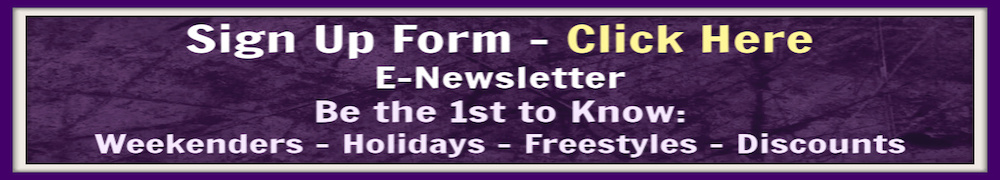 news-letter